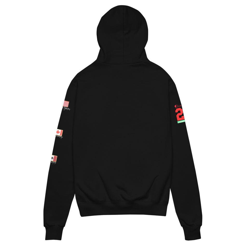 Global Football 2026 USA Flags Hoodie